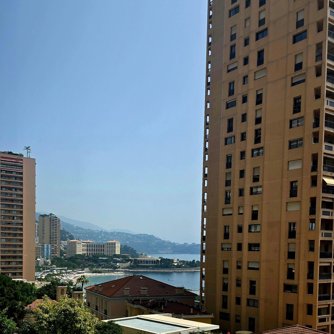 4 ROOMS - COMPLETELY RENOVATED NEAR CARRÉ D'OR - Properties for sale in Monaco