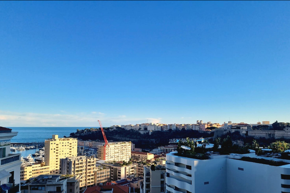 3 BEDROOM - VERY NICE APARTMENT - Properties for sale in Monaco