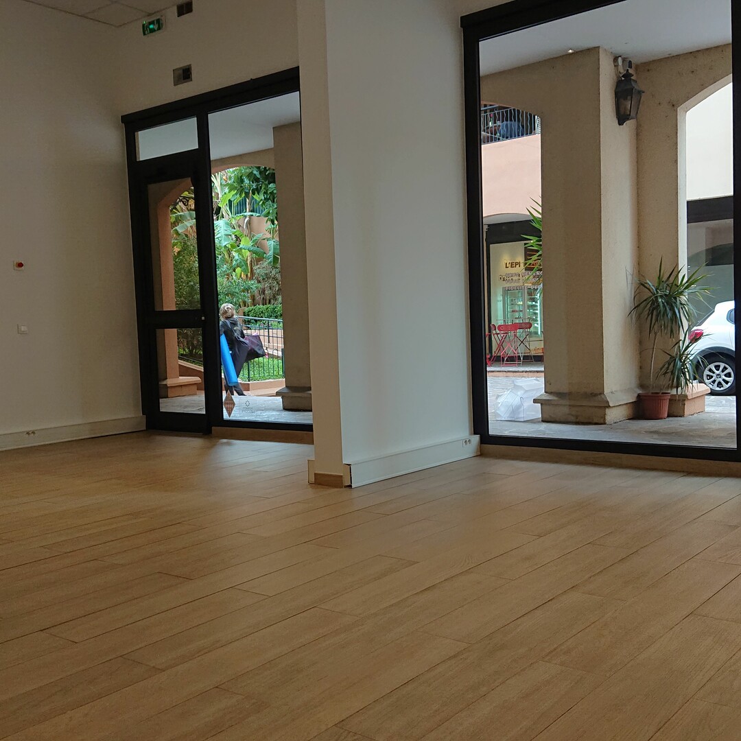 LE BOTTICELLI - Properties for sale in Monaco
