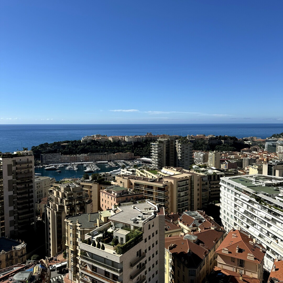 MILLEFIORI BUILDING - Properties for sale in Monaco
