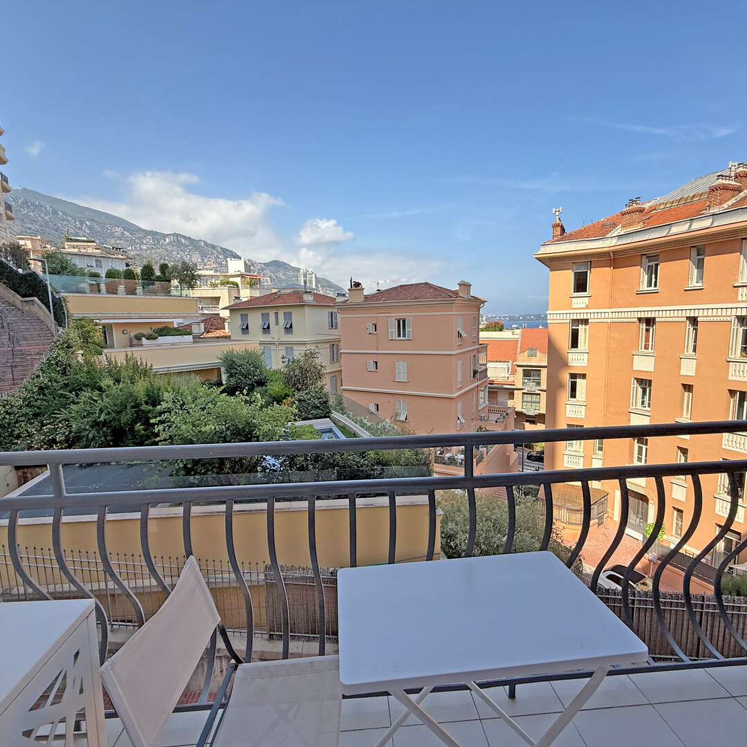 Spacious 3 room apartment free of any law