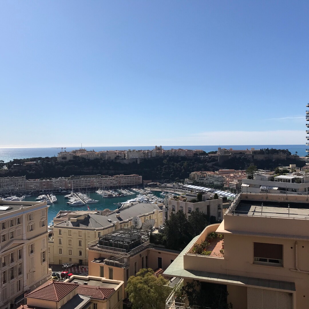 2 bedroom apartment VIAGER with sea view - Park Palace
