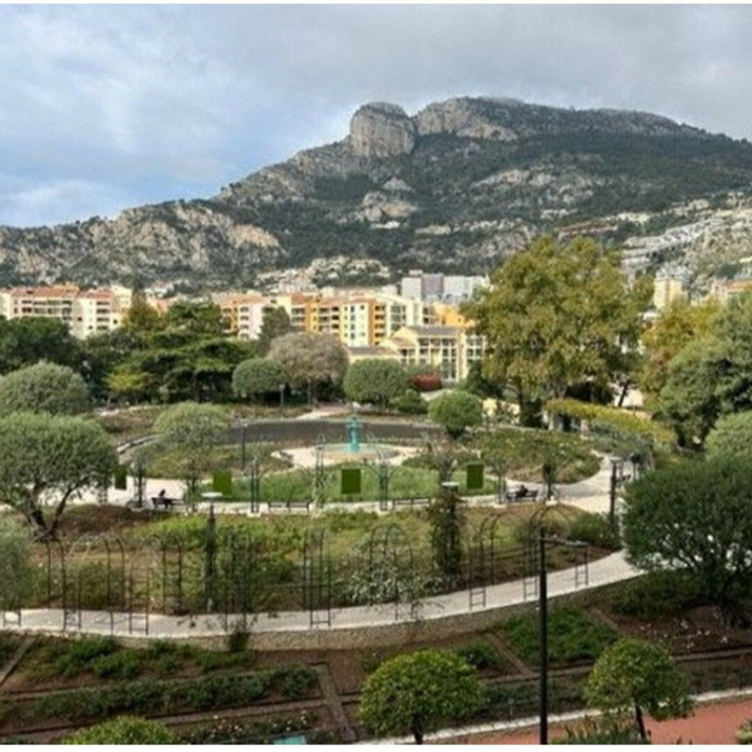 Beautiful 2 rooms in the heart of Fontvieille