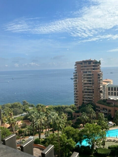 PARC SAINT ROMAN - LUXURY 4 ROOMS
