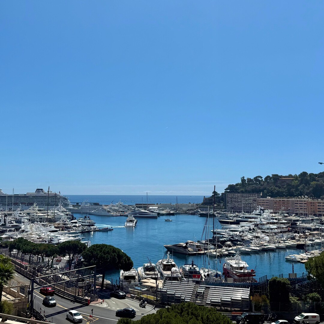 EXCLUSIVITY /CONDAMINE / 4 rooms law 1235