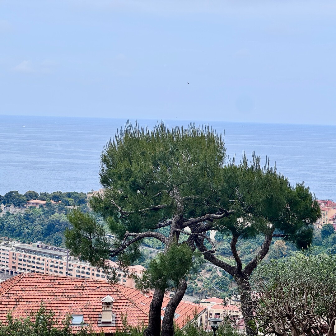 JARDIN EXOTIQUE | LES LIGURES | 3 ROOMS