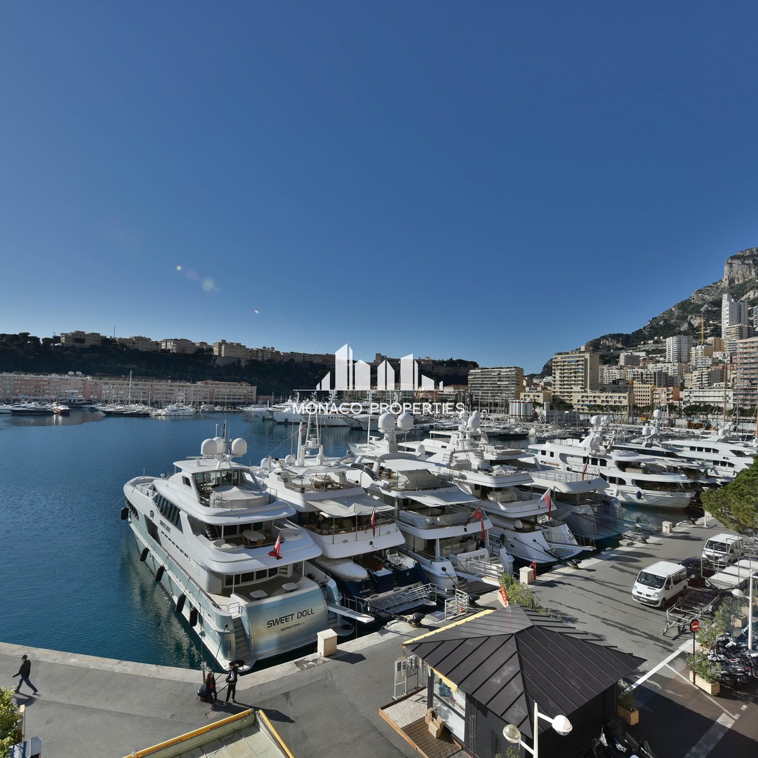 Properties for sale in Monaco