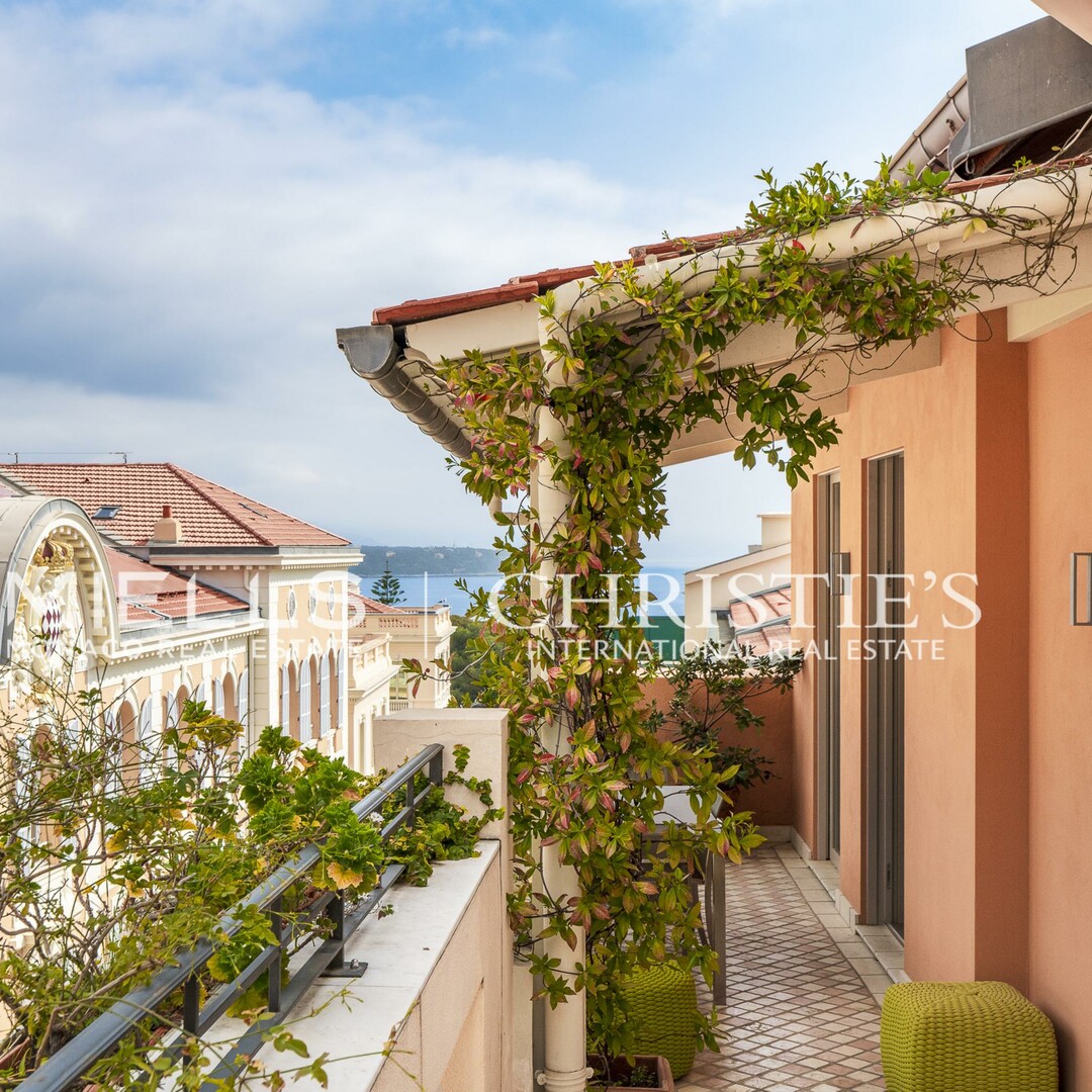Rare | Spacious apartment in the heart of le Rocher
