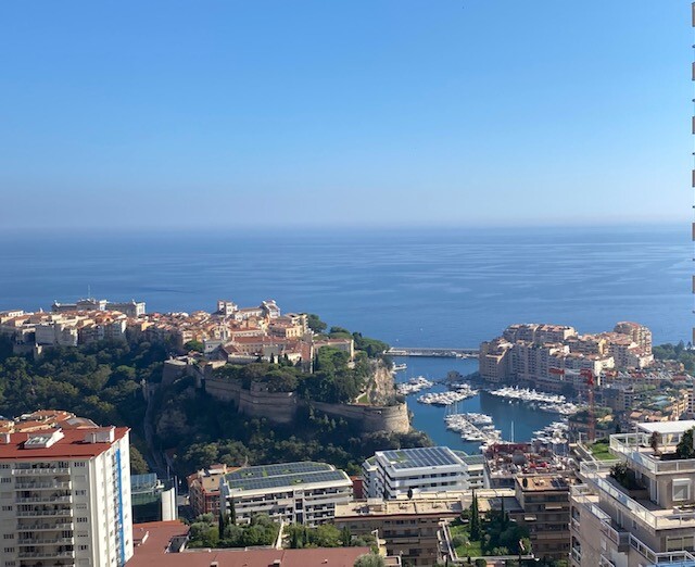 MASTER APARTMENT 5 ROOMS, PANORAMIC VIEW PRINCIPALITY AND SEA