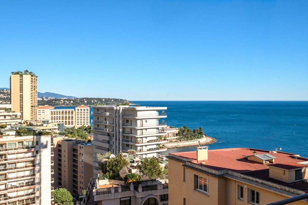 RADIEUSE – La Rousse – Elegant Furnished and Renovated One-Bedroom Apartment