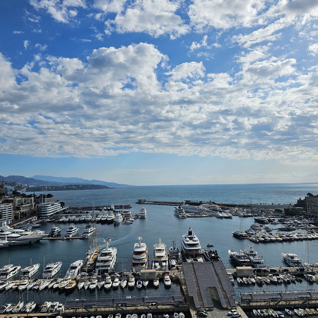 MAGNIFICENT DUPLEX APARTMENT ROOF PORT HERCULE