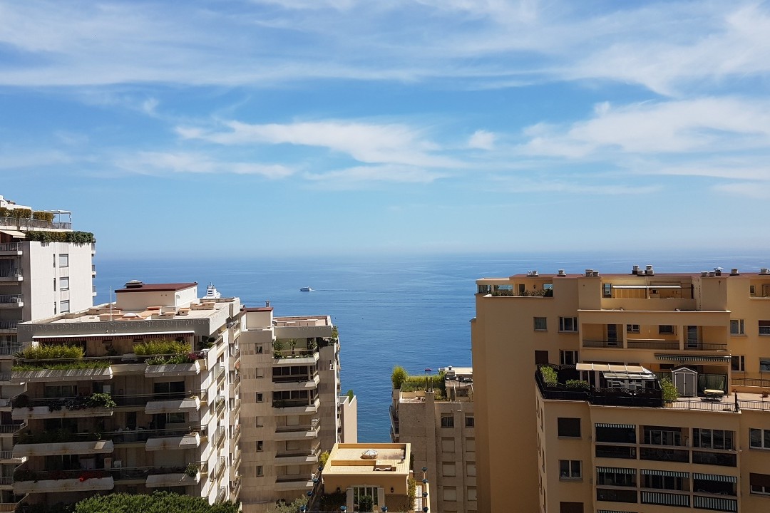 Properties for sale in Monaco