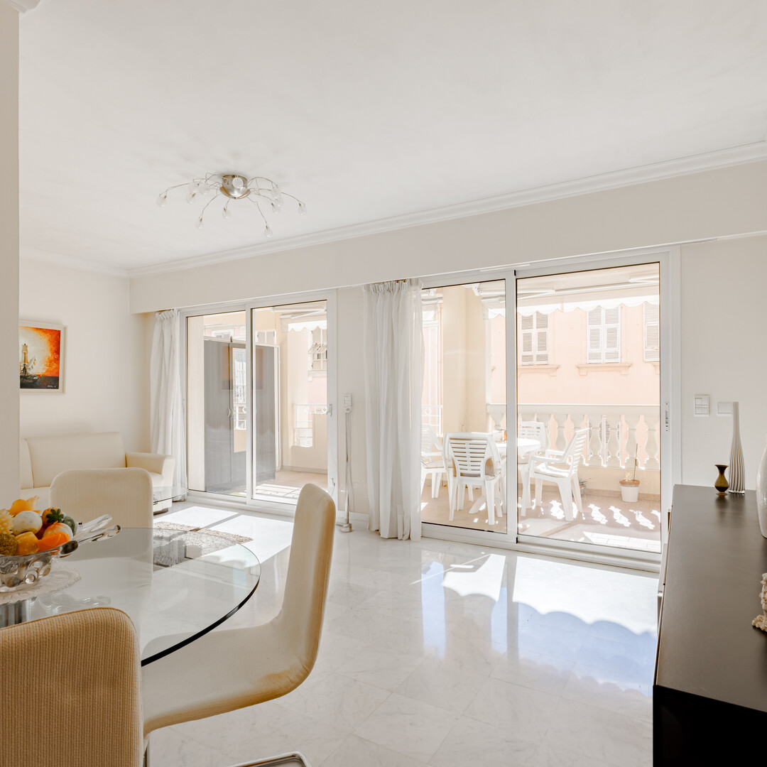 LARGE 1 BEDROOM APARTMENT WITH TERRACE
