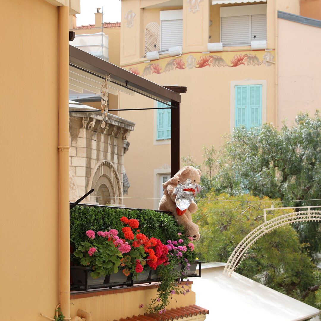 CHARMING 3 ROOMS RENOVATED