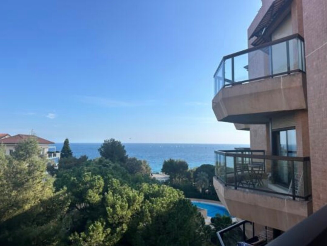 Luxuriously Renovated Apartment With Beautiful Views