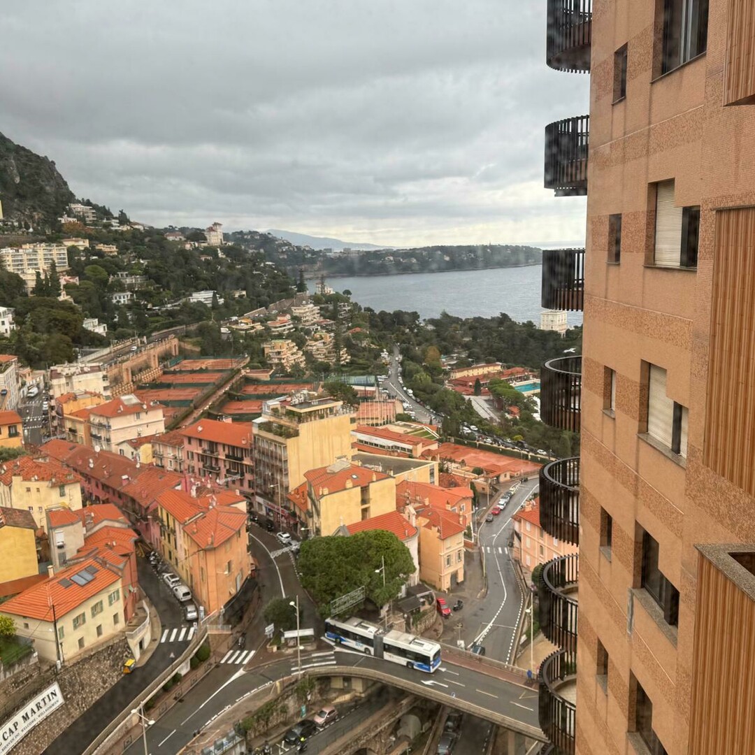 PARC SAINT ROMAN / LARGE STUDIO with SLEEPING AREA / CELLAR AND PARKING - Properties for sale in Monaco