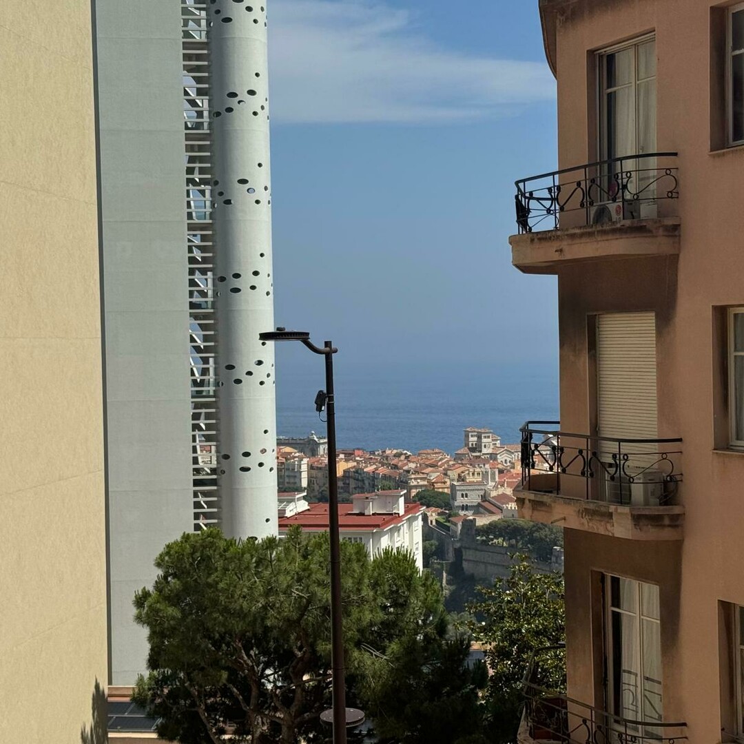 EXOTIC GARDEN / 4 ROOMS / RENOVATED - Properties for sale in Monaco