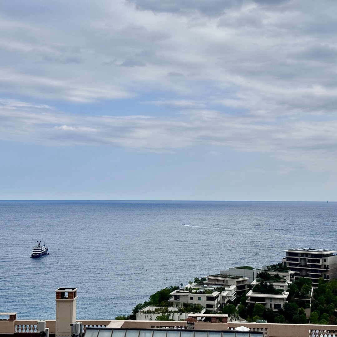 MONTE-CARLO | CONTINENTAL | 2 ROOMS - Properties for sale in Monaco