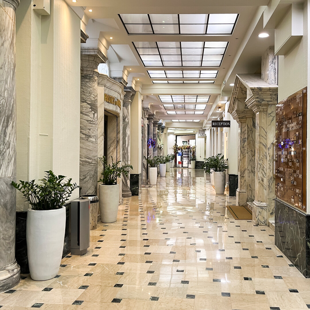 Business Jewelry , Art , Paintings, Coins - Properties for sale in Monaco