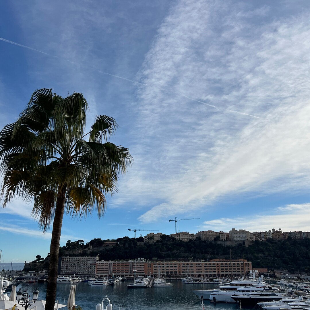 6 ROOMS - VILLA MINERVE - Properties for sale in Monaco