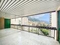 Park Palace - Beautiful 2 Bedroom - Properties for sale in Monaco
