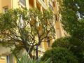 Elegant renovated 2-room apartment in a bourgeois building - Properties for sale in Monaco