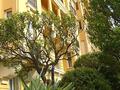 Elegant renovated 2-room apartment in a bourgeois building - Properties for sale in Monaco