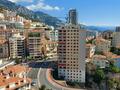 Le Franzido Palace - Boulevard du Jardin Exotique - Properties for sale in Monaco
