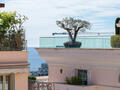 MONTE-CARLO HOUSE - Properties for sale in Monaco