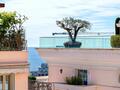 MONTE-CARLO HOUSE - Properties for sale in Monaco