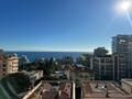 RIVIERA PALACE : 3 ROOMS - LUXURIOUS RENOVATION - TERRACE WITH SEA VIEW - Properties for sale in Monaco