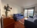 Carré d'or - Le Mirabel: 3 rooms - Properties for sale in Monaco