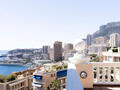 LAROUSSE/SAINT ROMAN/VILLA DEL SOLE/Penthouse/Roof - Properties for sale in Monaco