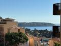 PARC SAINT ROMAN / RENOVATED STUDIO / PARKING - Properties for sale in Monaco