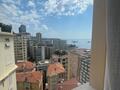 SOLE AGENT - 2 ROOMS - LA RADIEUSE - Properties for sale in Monaco