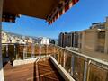 MONTE CARLO - TRES BEAU 2 PIECES - Properties for sale in Monaco