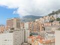 Gorgeous apartment, seaview, with a large parking space - Properties for sale in Monaco