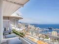 Sole agent | Rare, spacious duplex penthouse | 4-bedroom - Properties for sale in Monaco