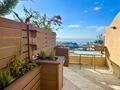 PENTHOUSE | CHARM AND GREAT LIFETYLE - Properties for sale in Monaco