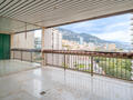 PARK PALACE - 2-Bedroom Apartment – Luxury Residence in Carré d’Or - Properties for sale in Monaco