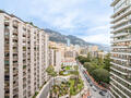 PARK PALACE - 2-Bedroom Apartment – Luxury Residence in Carré d’Or - Properties for sale in Monaco