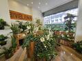 FLORIST GROCERY LIQUEURS DECO PERFUME AMBIANCE - Properties for sale in Monaco