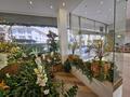 FLORIST GROCERY LIQUEURS DECO PERFUME AMBIANCE - Properties for sale in Monaco