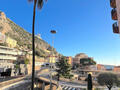 Parc Saint Roman - Large studio very good condition - quickly available - Properties for sale in Monaco