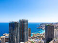BEAUTIFUL 2 ROOMS SEA VIEW RENOVATED - Properties for sale in Monaco