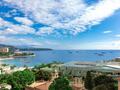 MAGNIFICENT 2 ROOM APARTMENT - CENTRAL - Properties for sale in Monaco