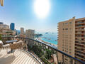 LUXURIOUS ONE BEDROOM APARTMENT WITH STUDY - TOP FLOOR - Properties for sale in Monaco