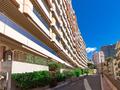 LARGE ONE-BEDROOM APARTMENT WITH GARDEN - Properties for sale in Monaco