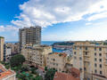 MAGNIFICENT 2 BEDROOM RENOVATED - Properties for sale in Monaco