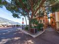 RESTAURANT PREMISES / COMMERCIAL PROPERTY - Properties for sale in Monaco
